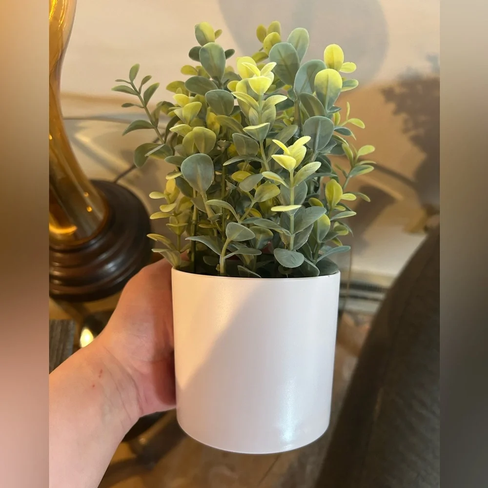 Target Bullseye Artificial Greenery in White Pot